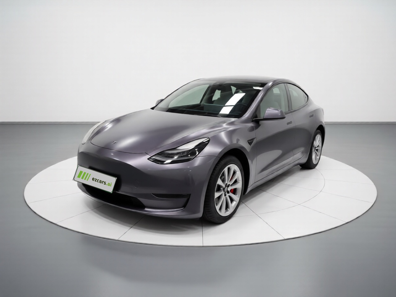 Model Y 2021 Standard Range RWD