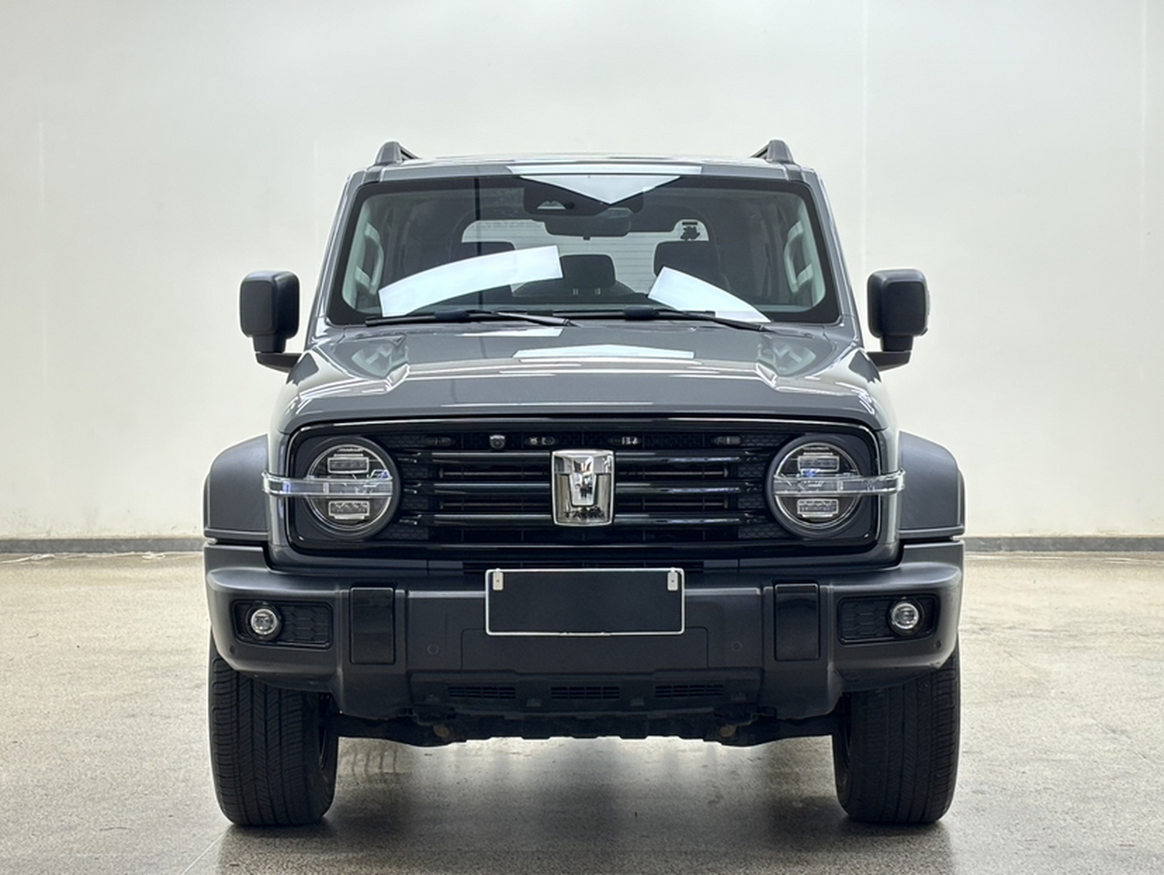 300 2021 Off-road 2.0T Conqueror photo 4