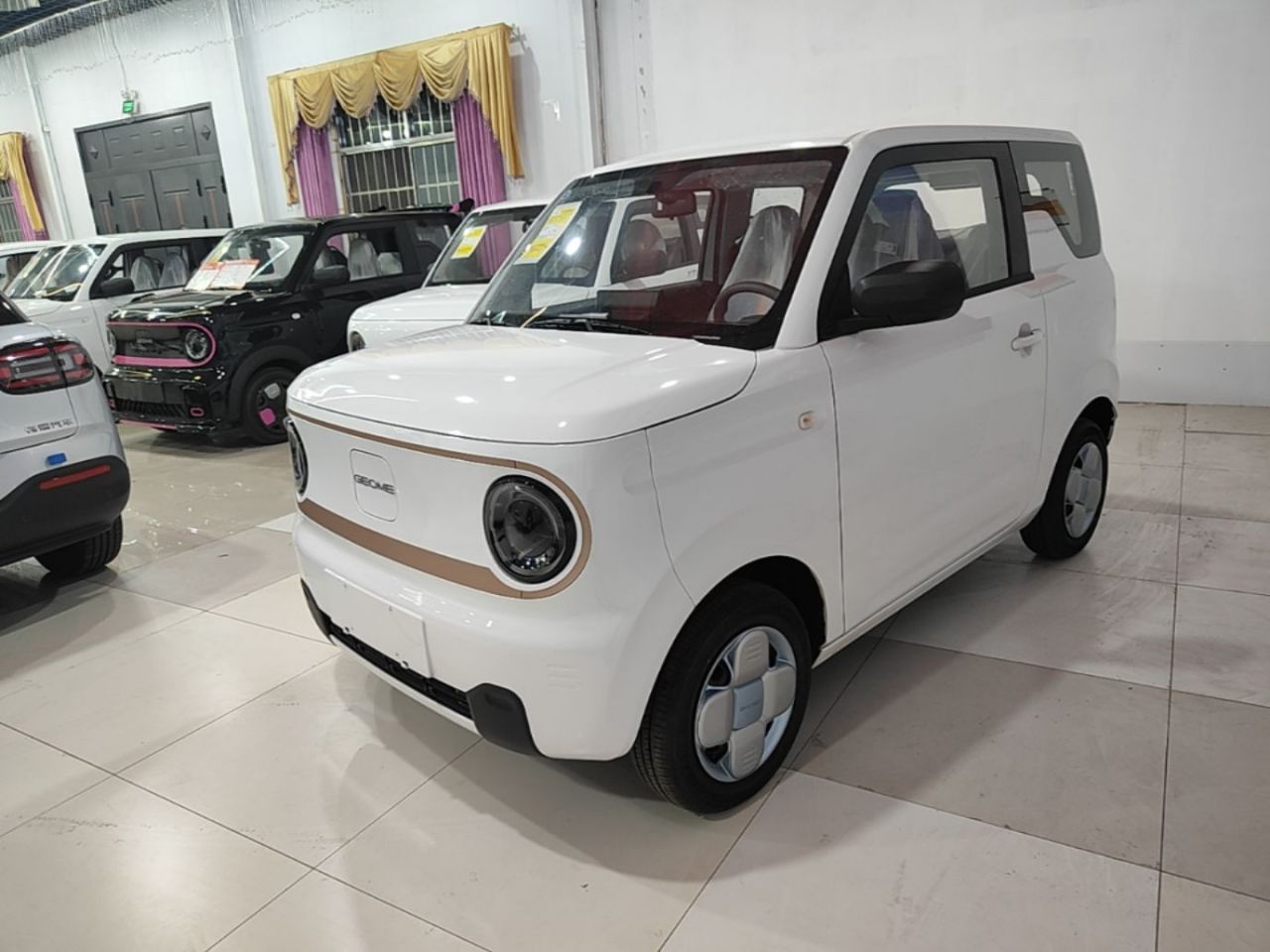 2024 Panda mini 200km Endurance Bear