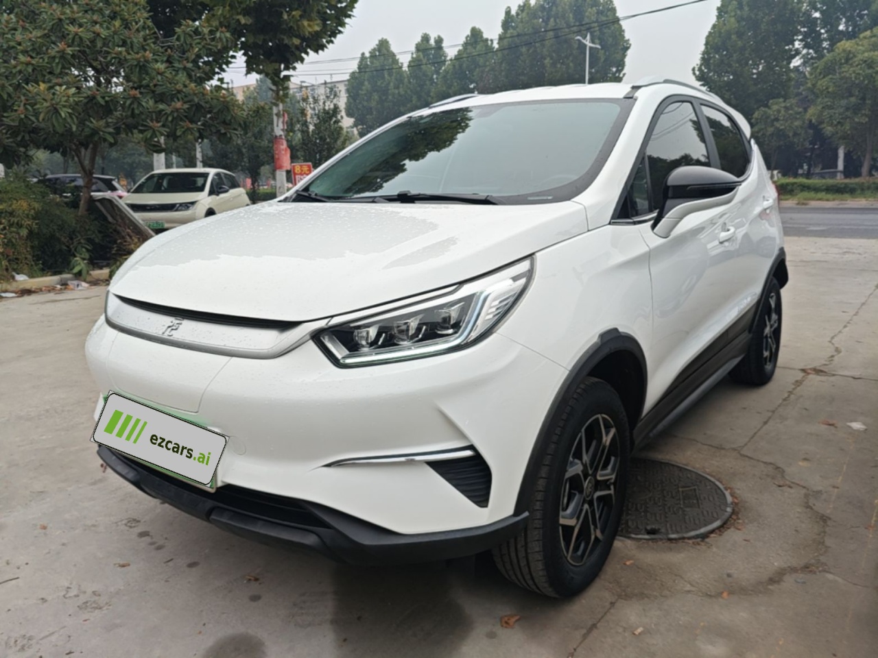 Yuan Pro 2021 401KM Luxury