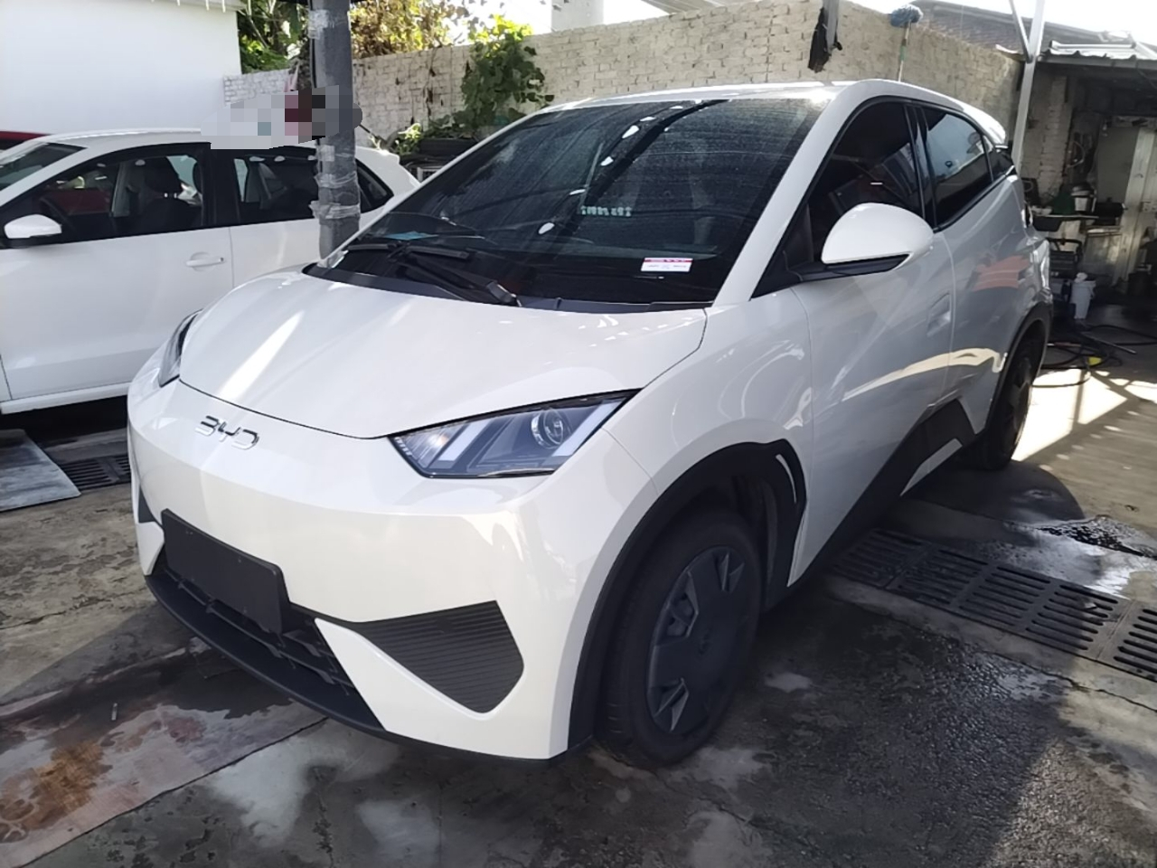 Seagull 2025 ADAS 305km