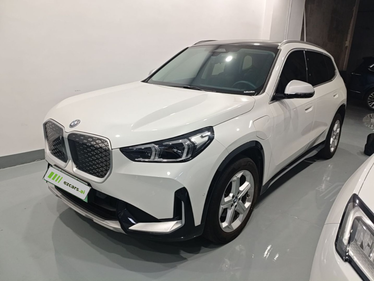 iX1 2023 eDrive25L X Design Package