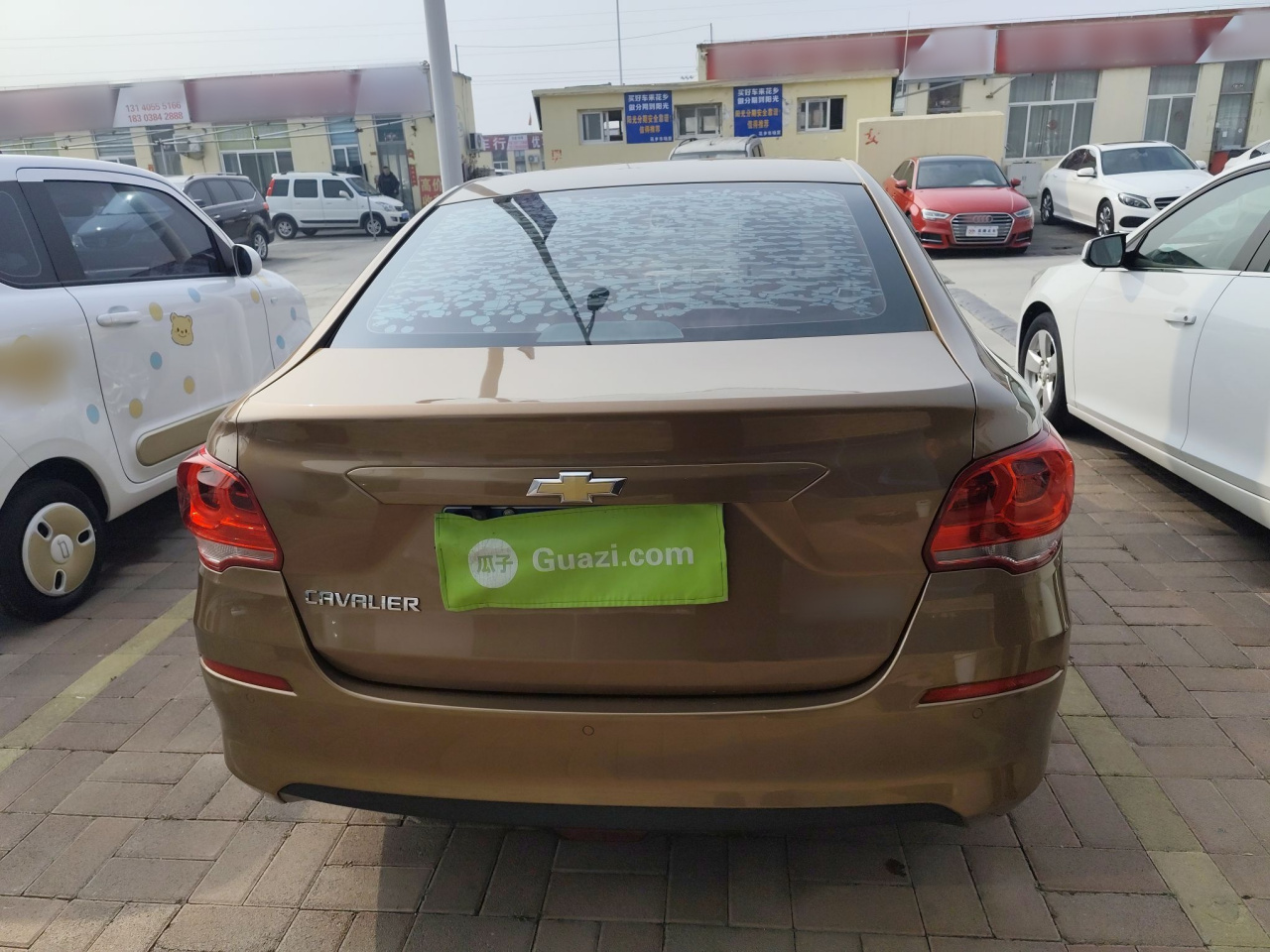 Cavalier 2019 320 AT photo 3
