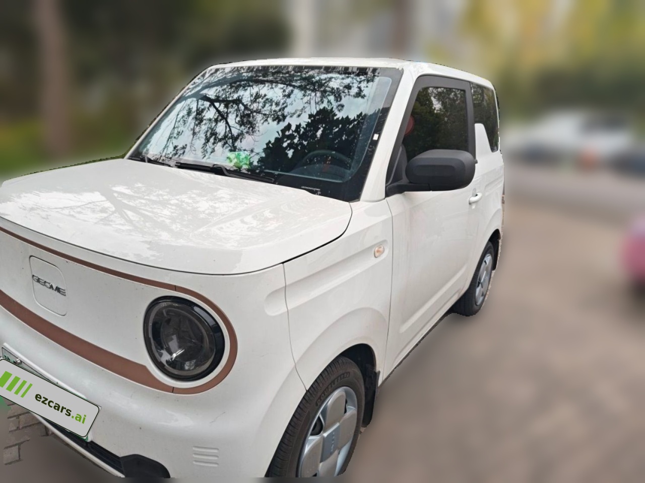 2024 Panda mini 200km Endurance Bear