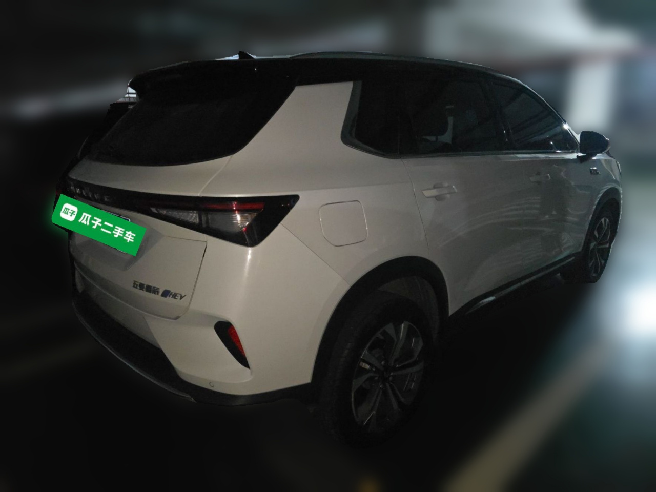 Wuling 2022 2.0L DHT photo 4