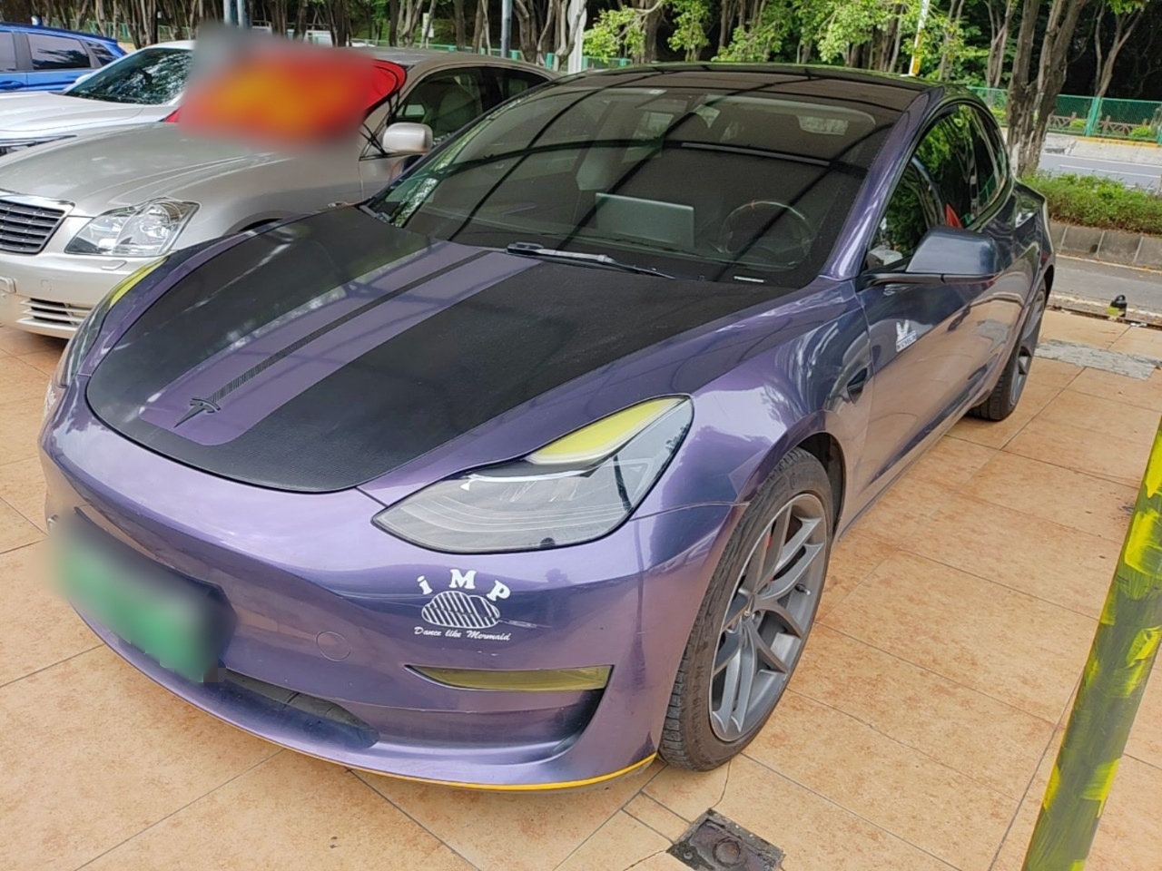 Model 3 2021 Performance AWD 3D6