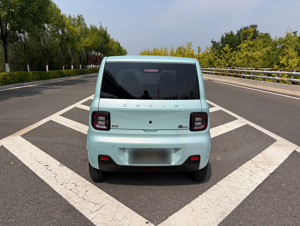 2024 Panda mini 200km Endurance Bear photo 2