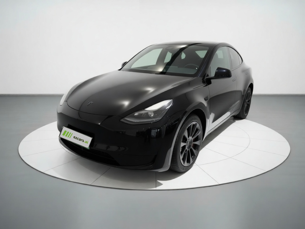 Model Y 2021 Standard Range RWD