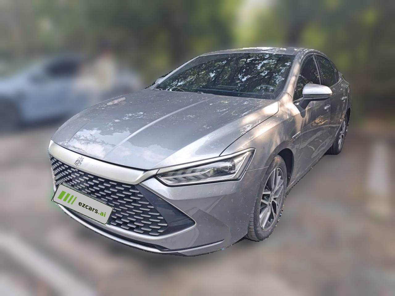 Qin PLUS 2021 DM-i 55KM Flagship