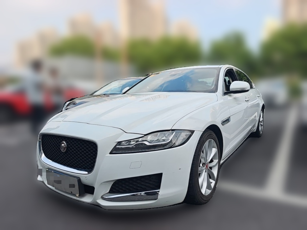 XFL 2020 XFL 2.0T P250 RWD Luxury
