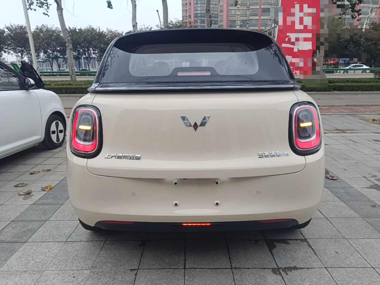 Bingo Pro 2026 330km Exclusive photo 5