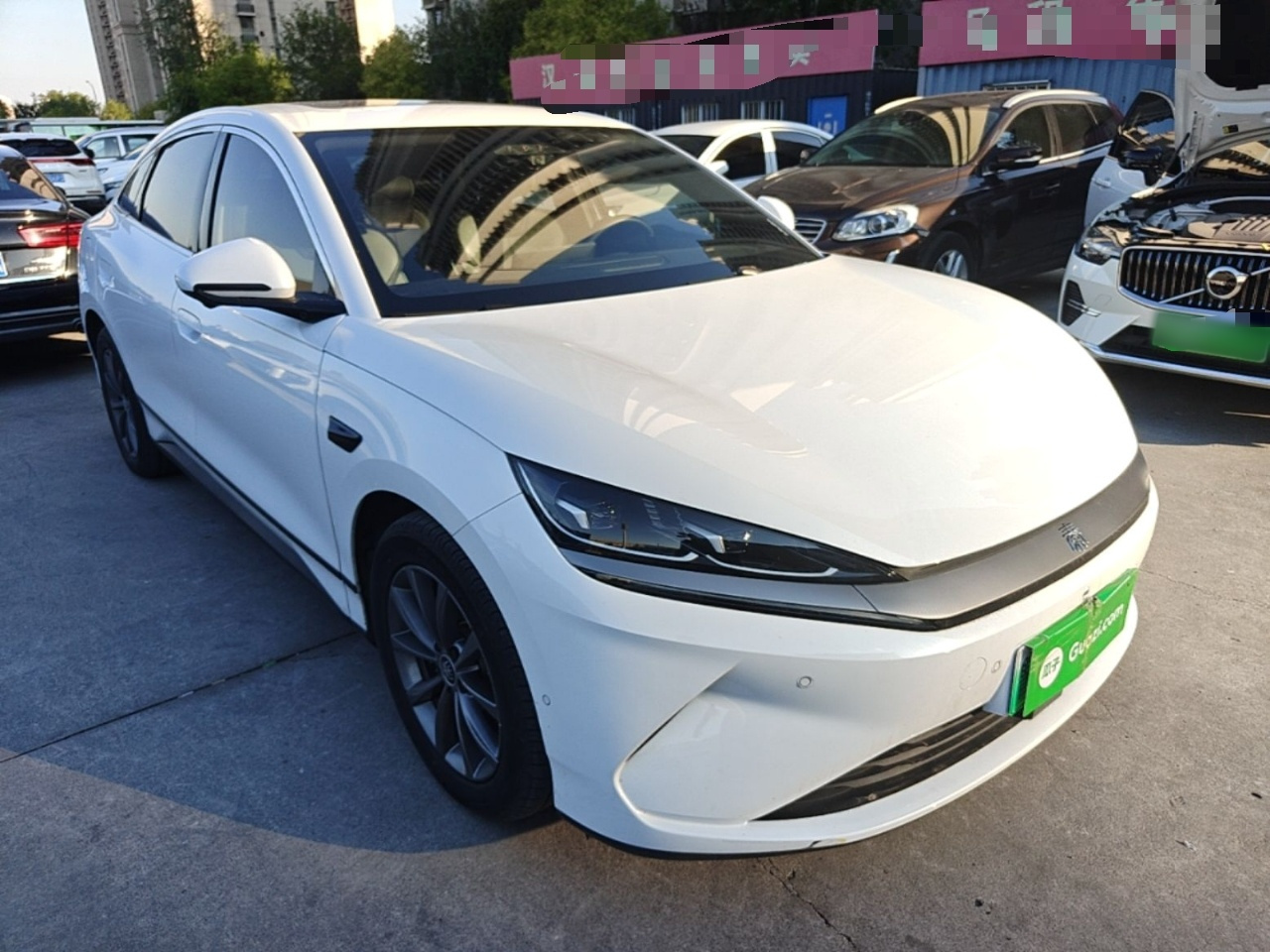 Qin L 2025 EV 545KM photo 5
