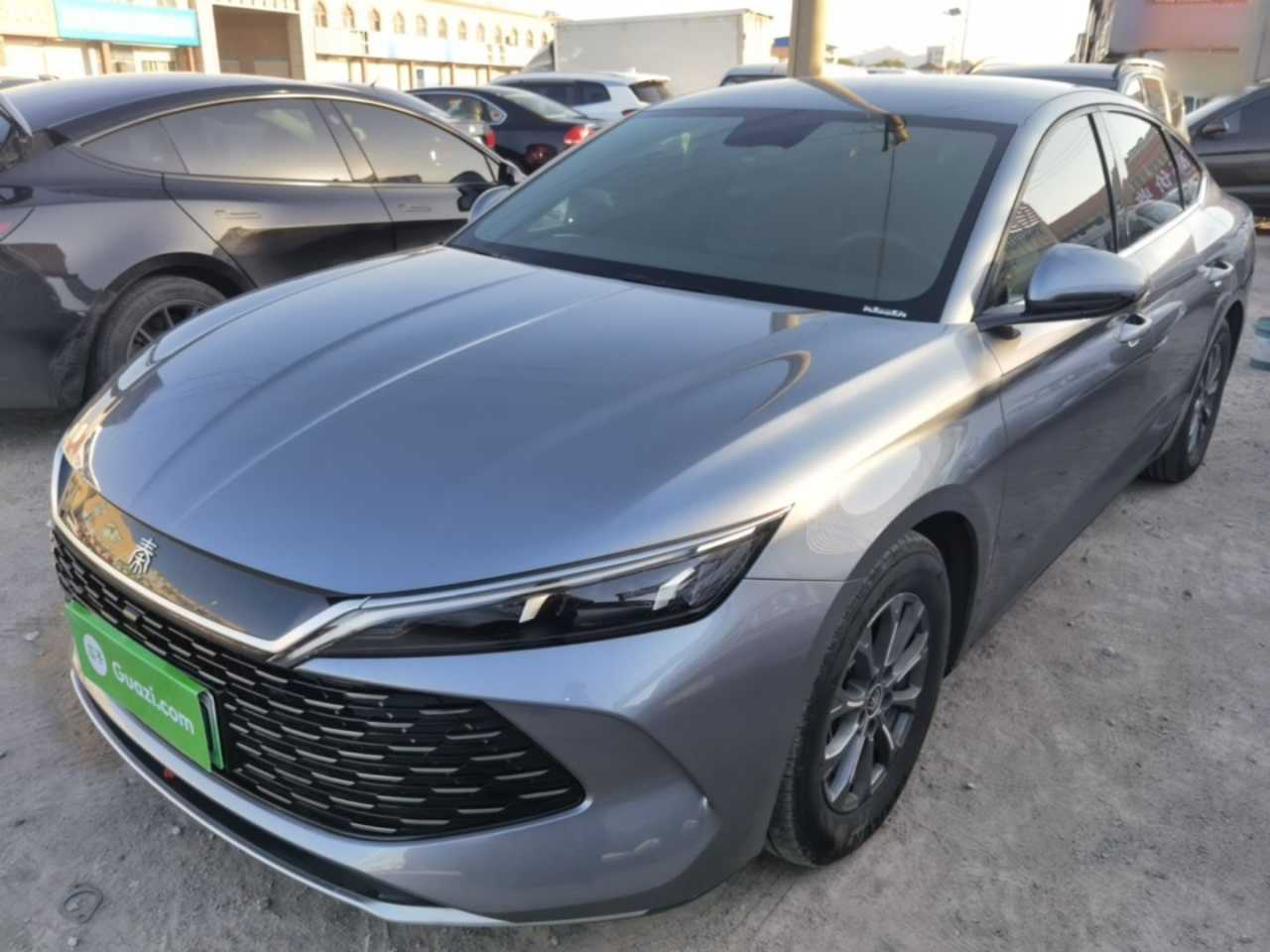 Qin L 2024 DM-i 80KM Leading
