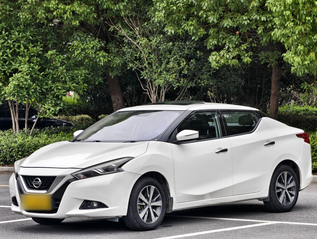 2019 1.6L CVT China VI