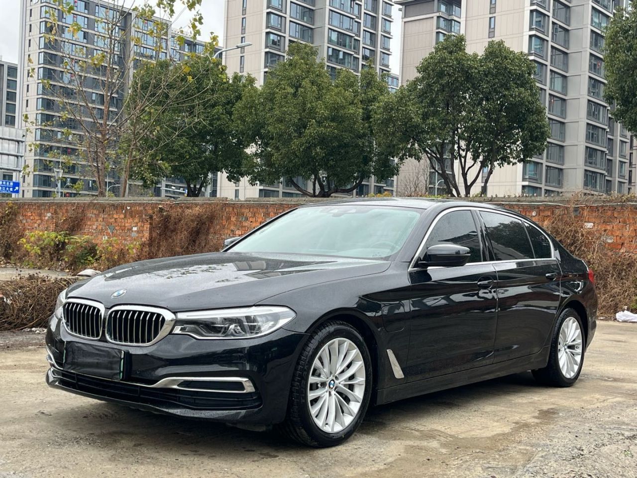 5 Series EV 2020 Upgraded 530Le Luxury