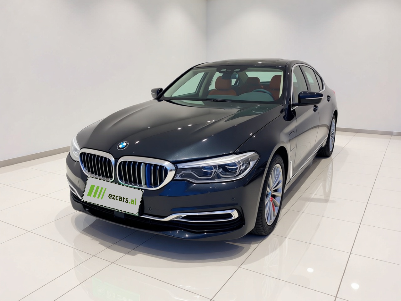 5 Series EV 2019 530Le Luxury