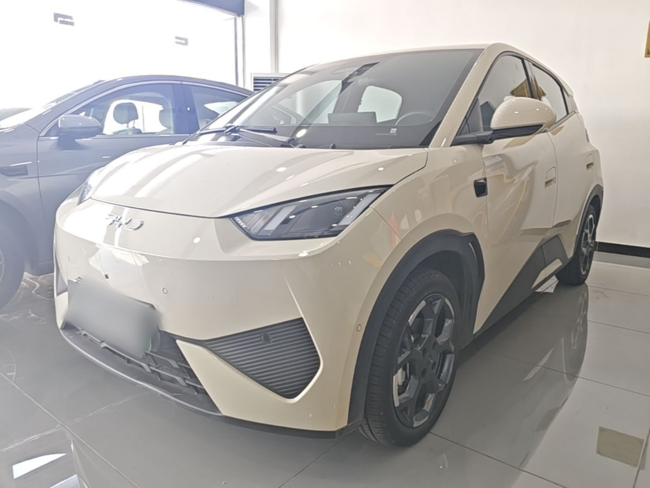 Seagull 2025 ADAS 305km