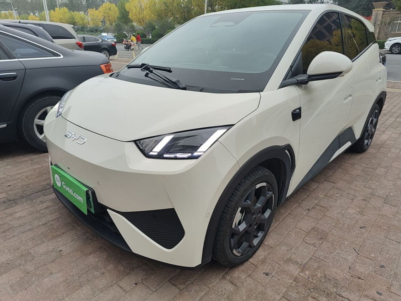 Seagull 2025 ADAS 305km