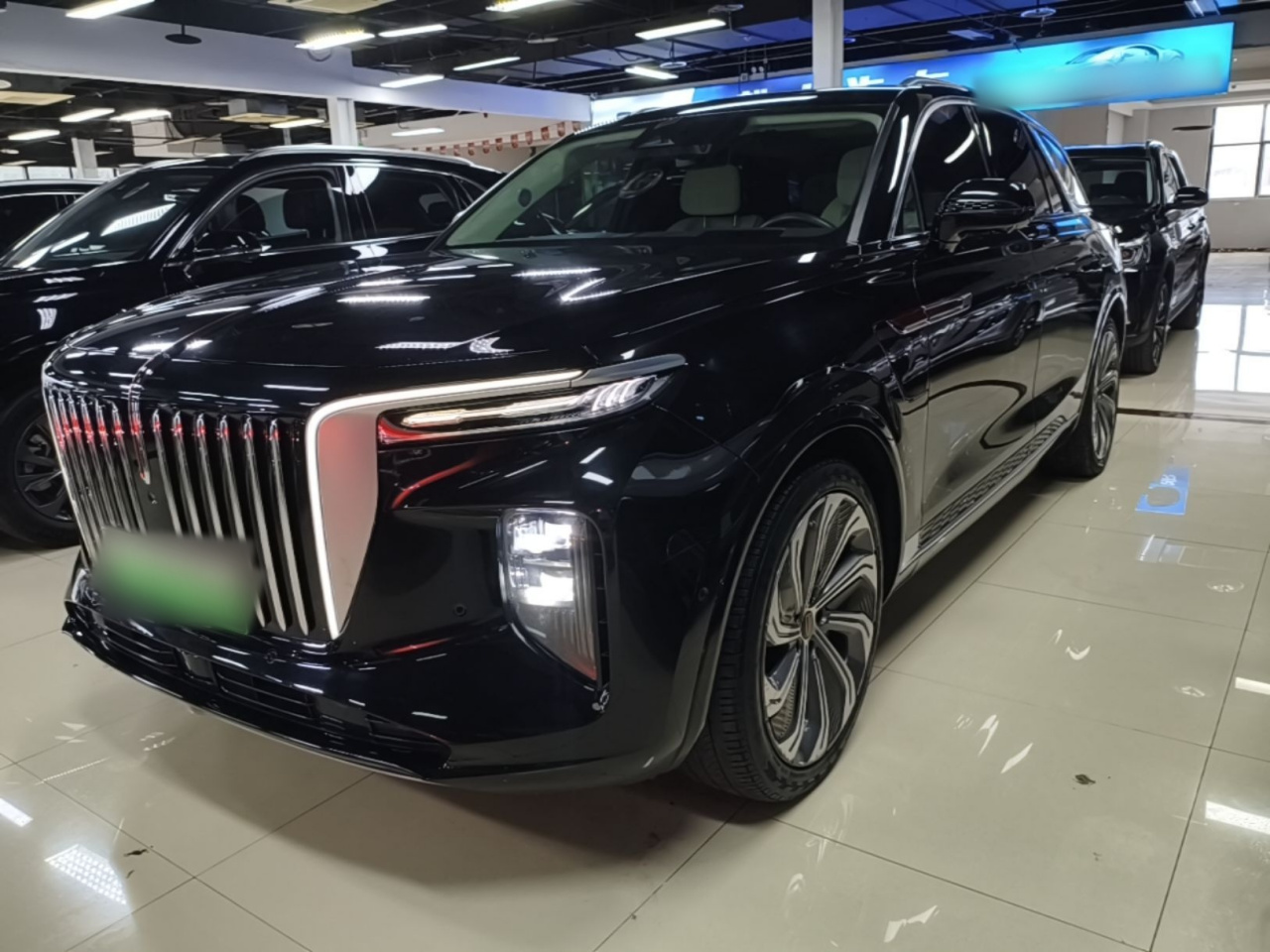 E-HS9 2021 510km 4-Seater