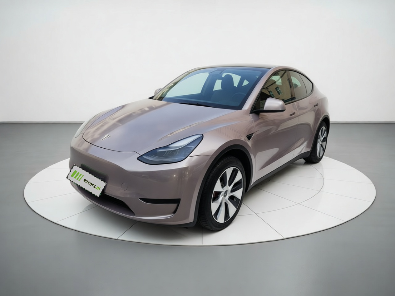 Model Y 2021 Standard Range RWD