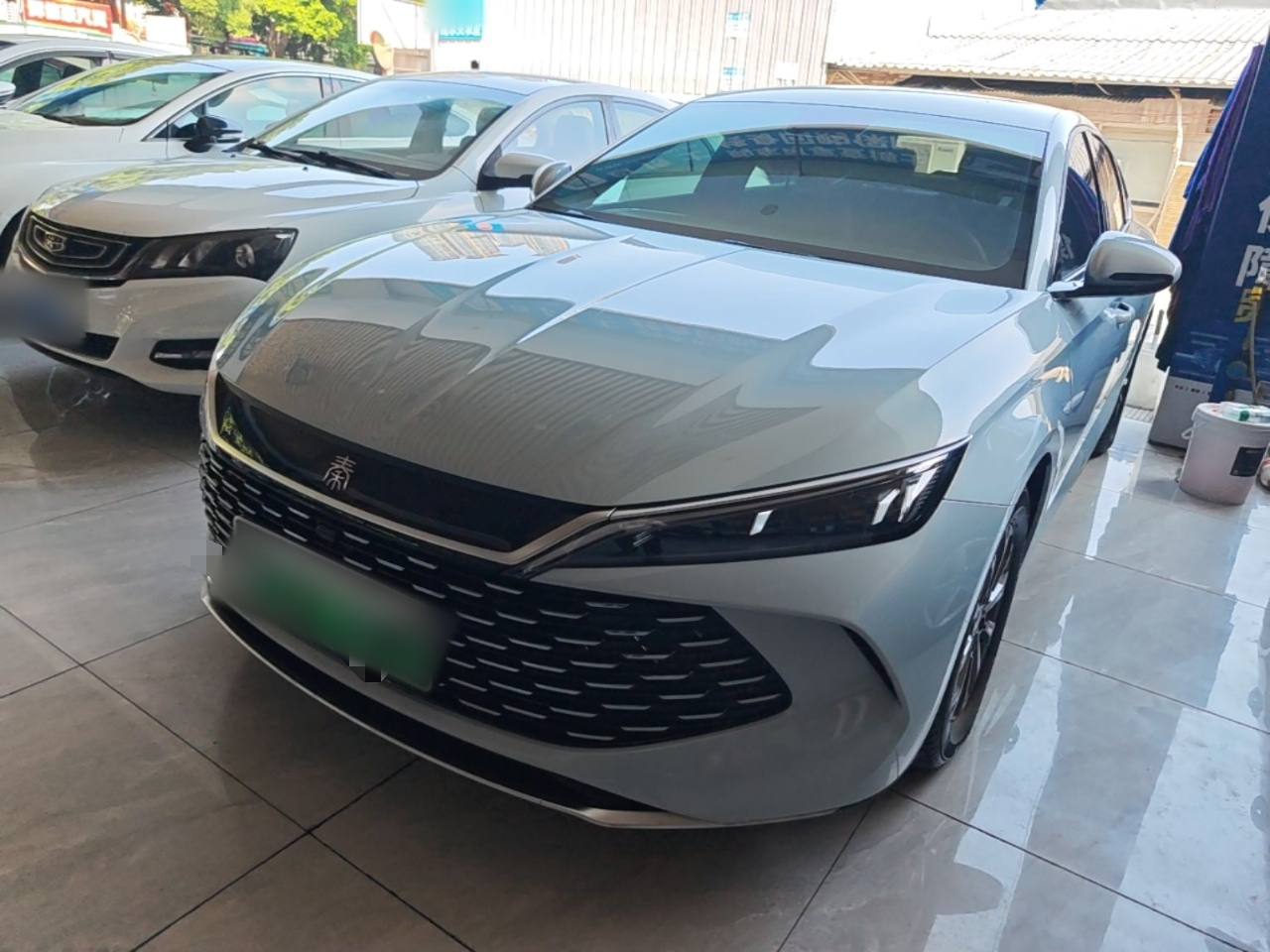Qin L 2024 DM-i 80KM Leading