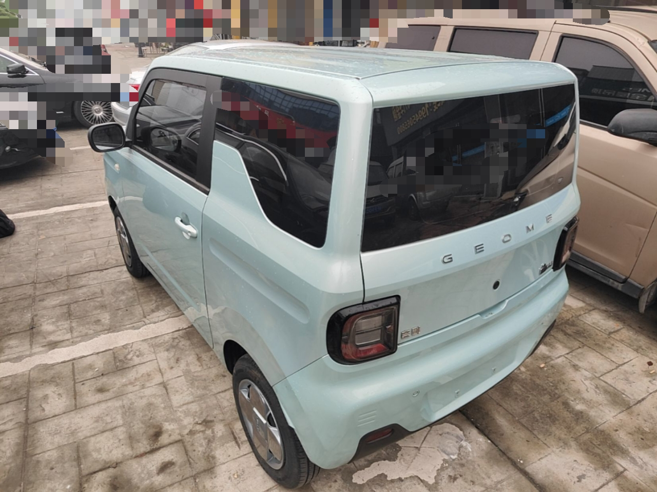 2023 Panda mini 200km Endurance Bear photo 4