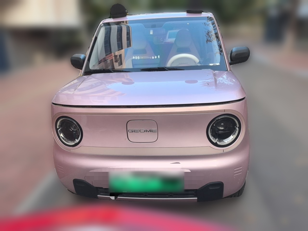 2023 Panda mini 200km Endurance Bear photo 2