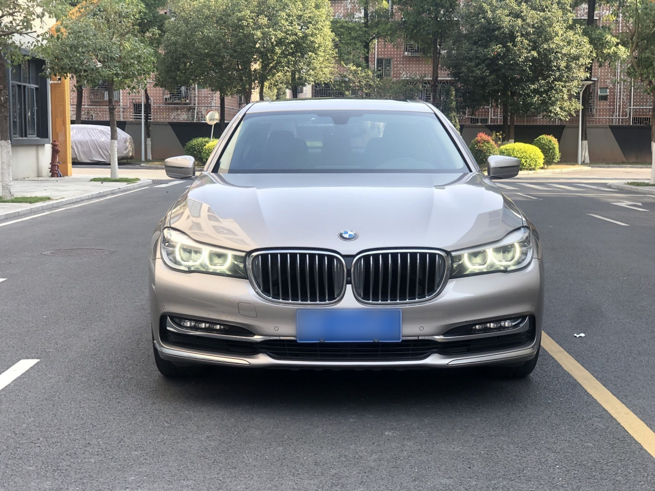 7 Series 2018 730Li Leading Excellence photo 3