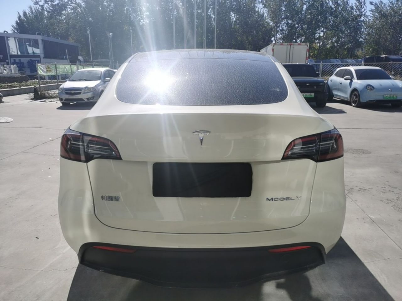 Model Y 2022 RWD photo 5