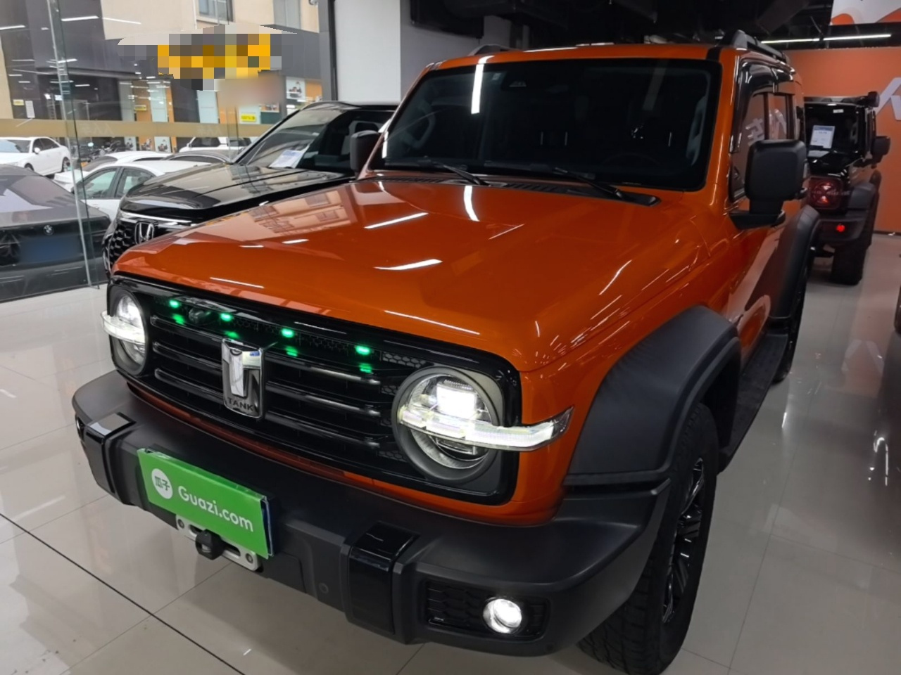 300 2021 Off-road 2.0T Conqueror