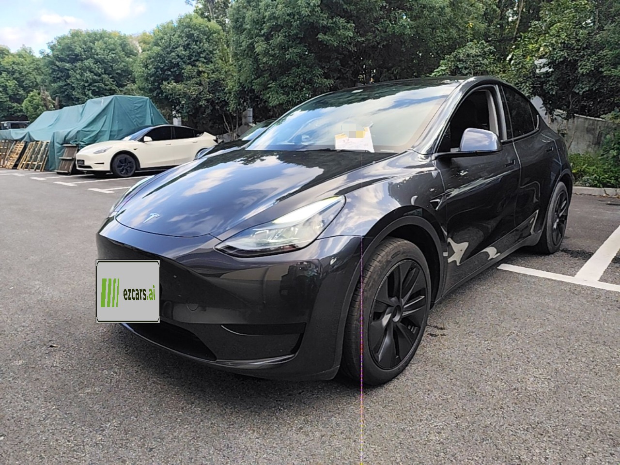 Model Y 2024 RWD