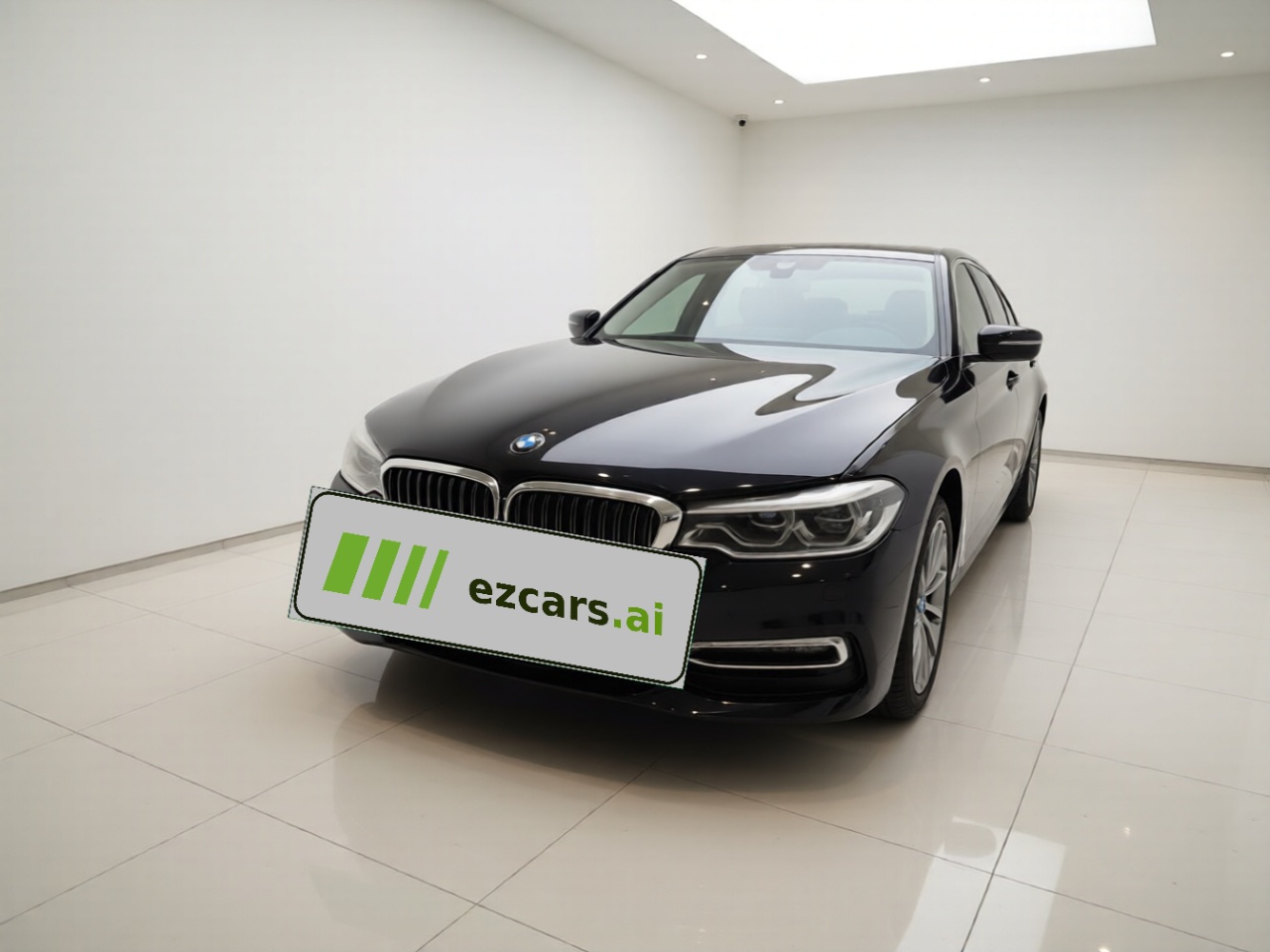 5 Series 2019 525Li Luxury