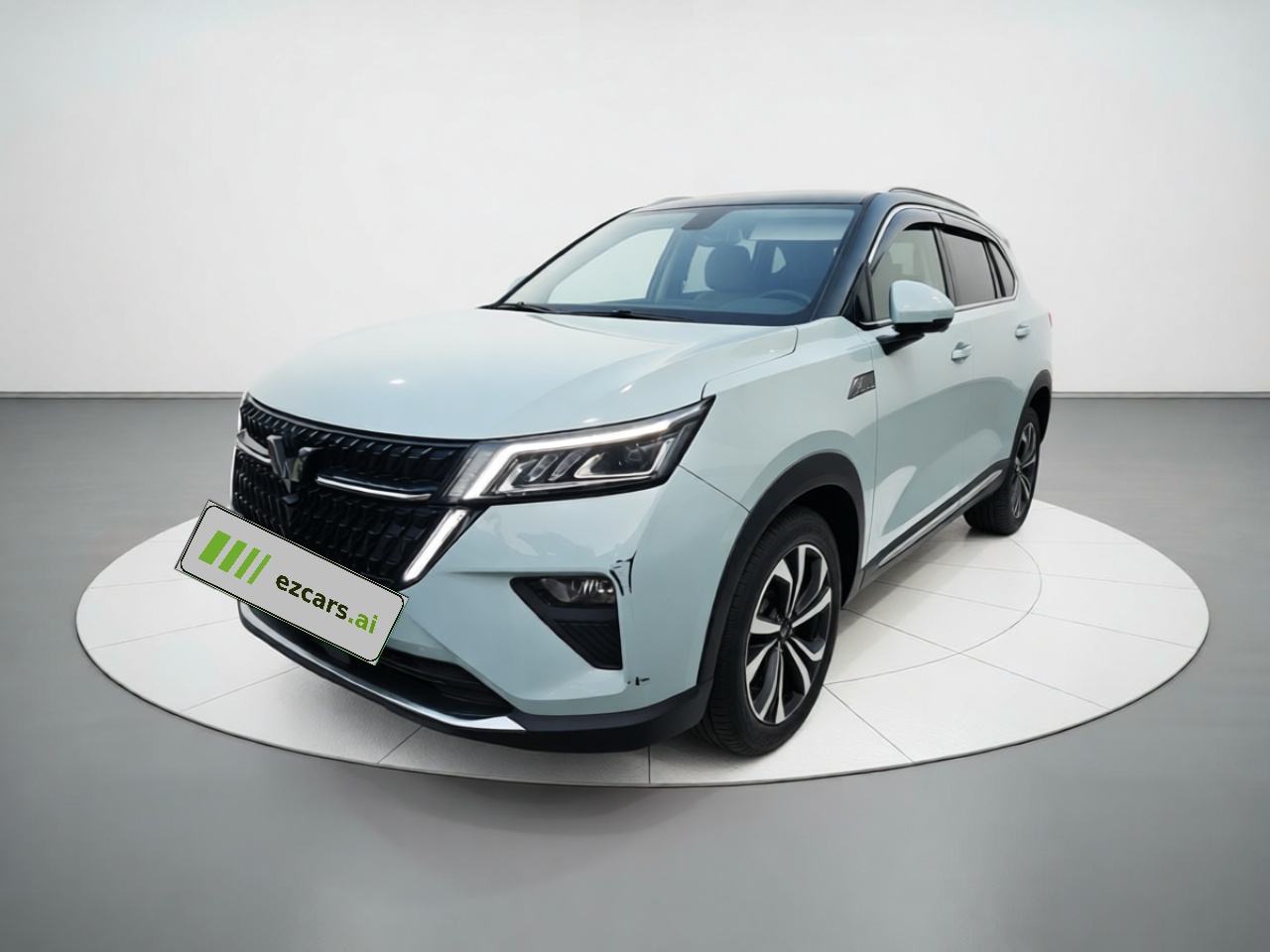 Wuling 2022 2.0L DHT