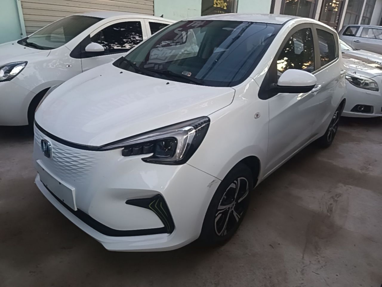 Benni E-Star 2022 NCM