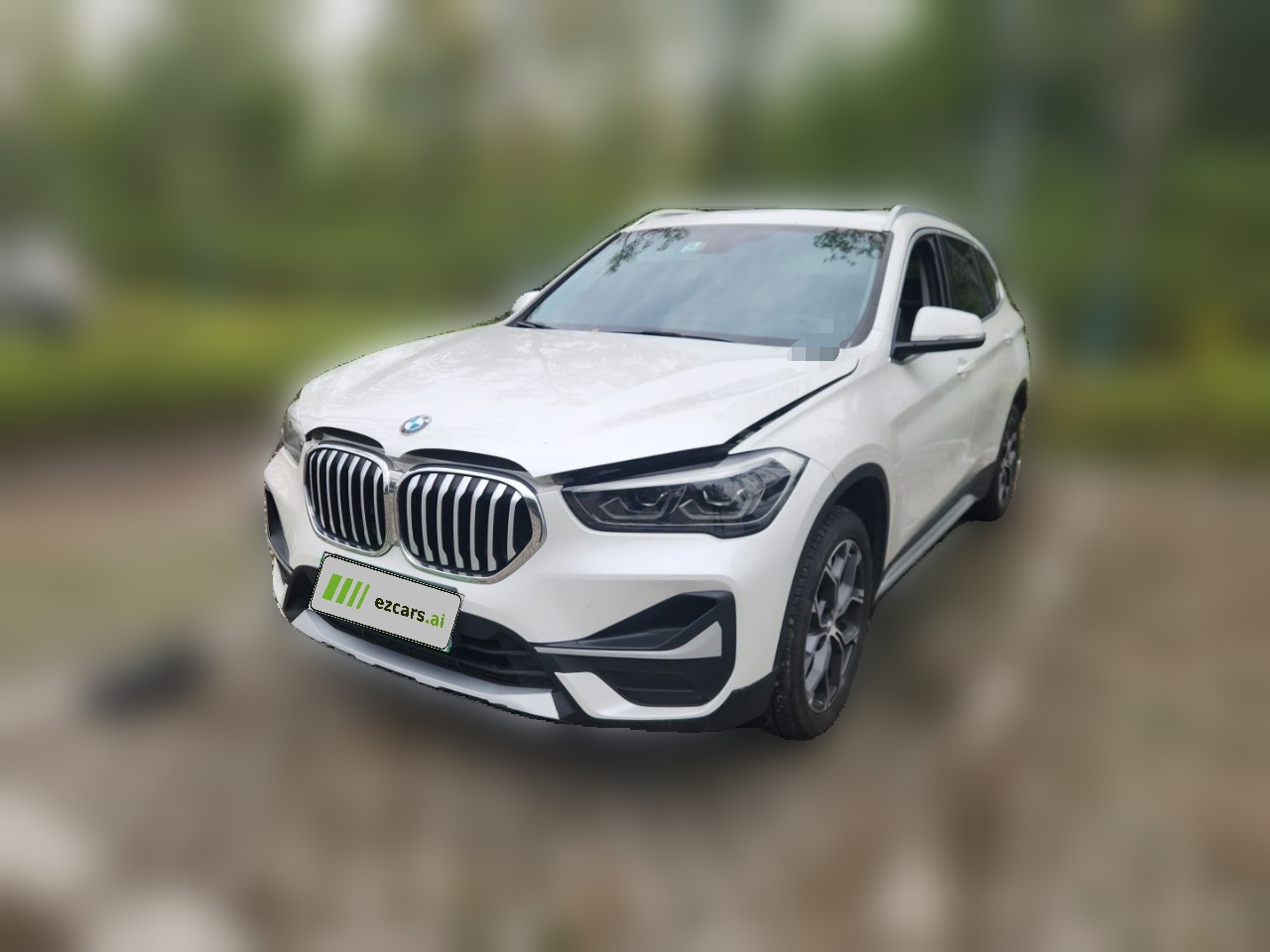 X1 2020 sDrive20Li Exclusive