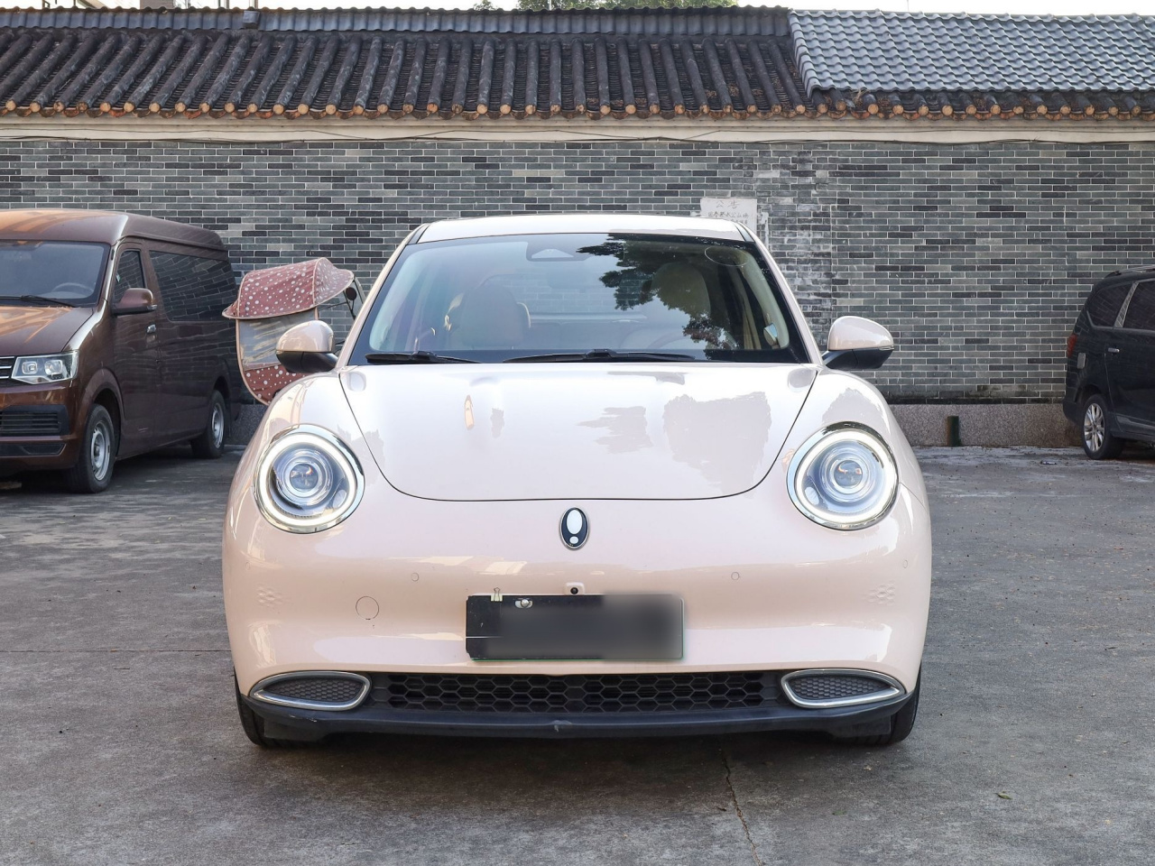 Good Cat 2021 400km Standard Range LFP photo 2