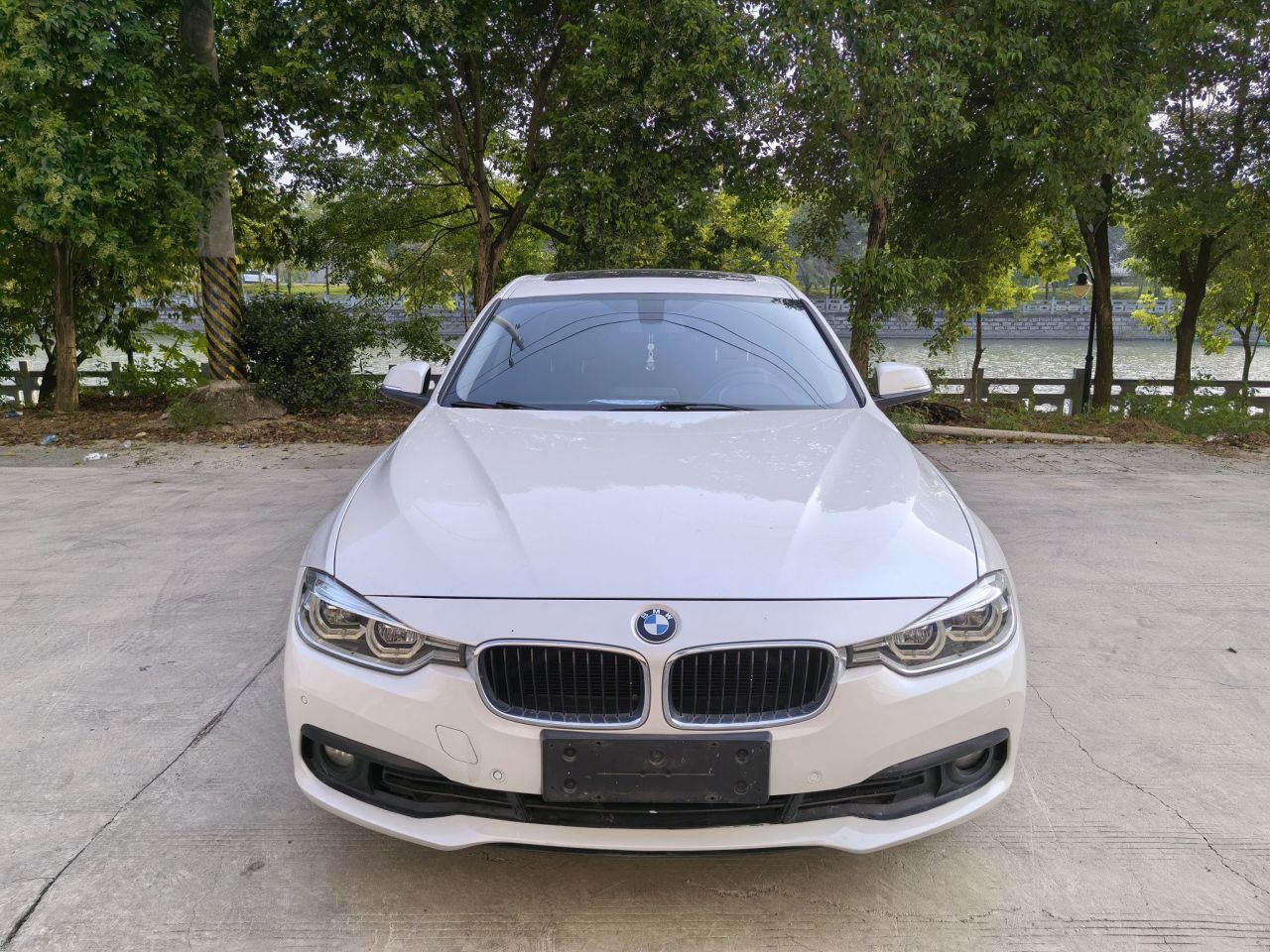 3 Series 2018 318i photo 2
