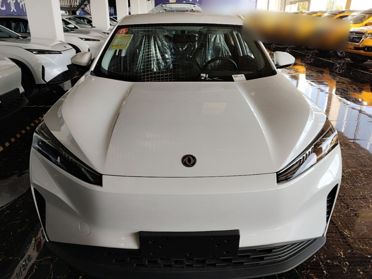 SKY EV01 2025 530km AIR Elite photo 2