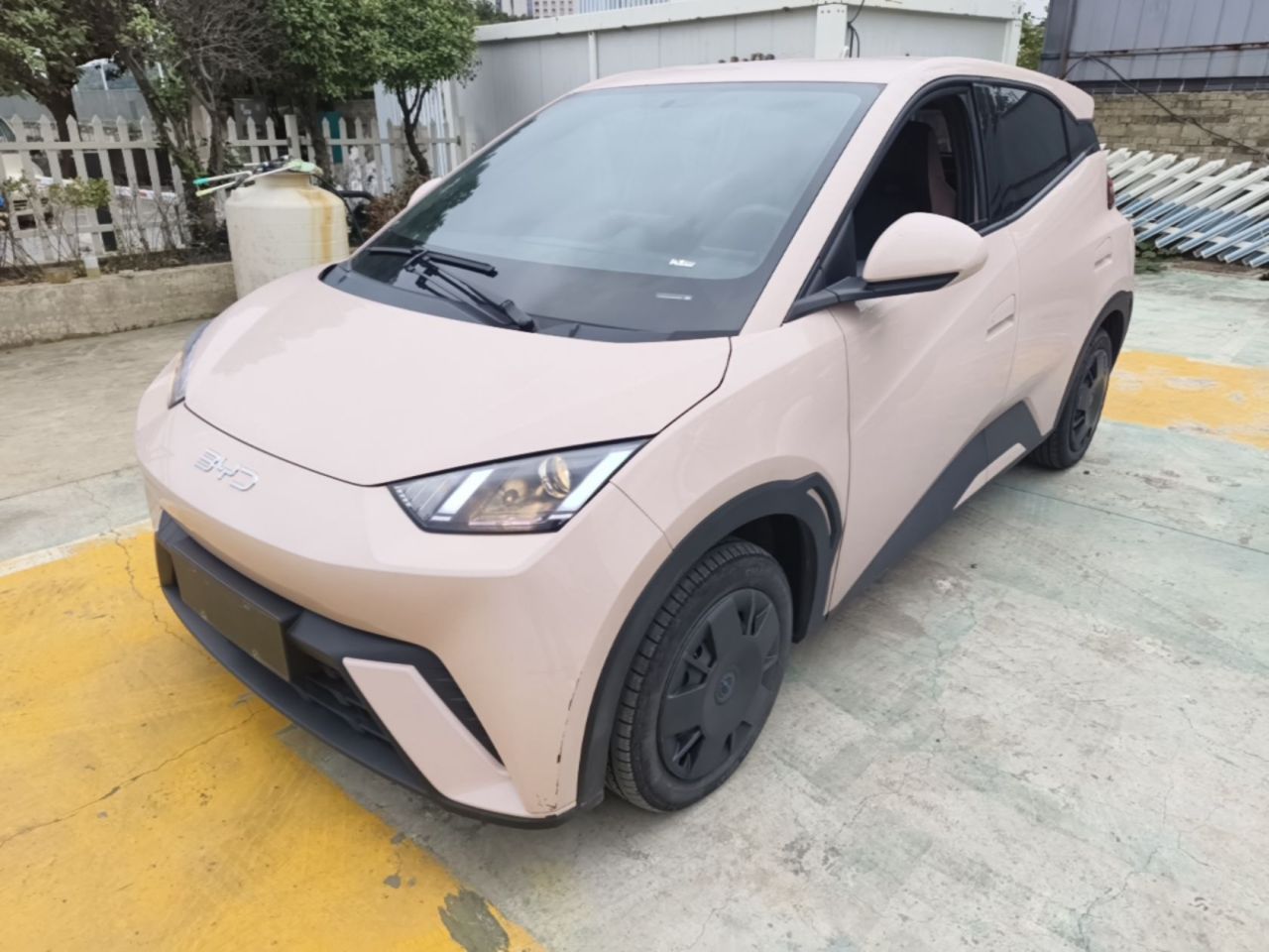 Seagull 2025 305km
