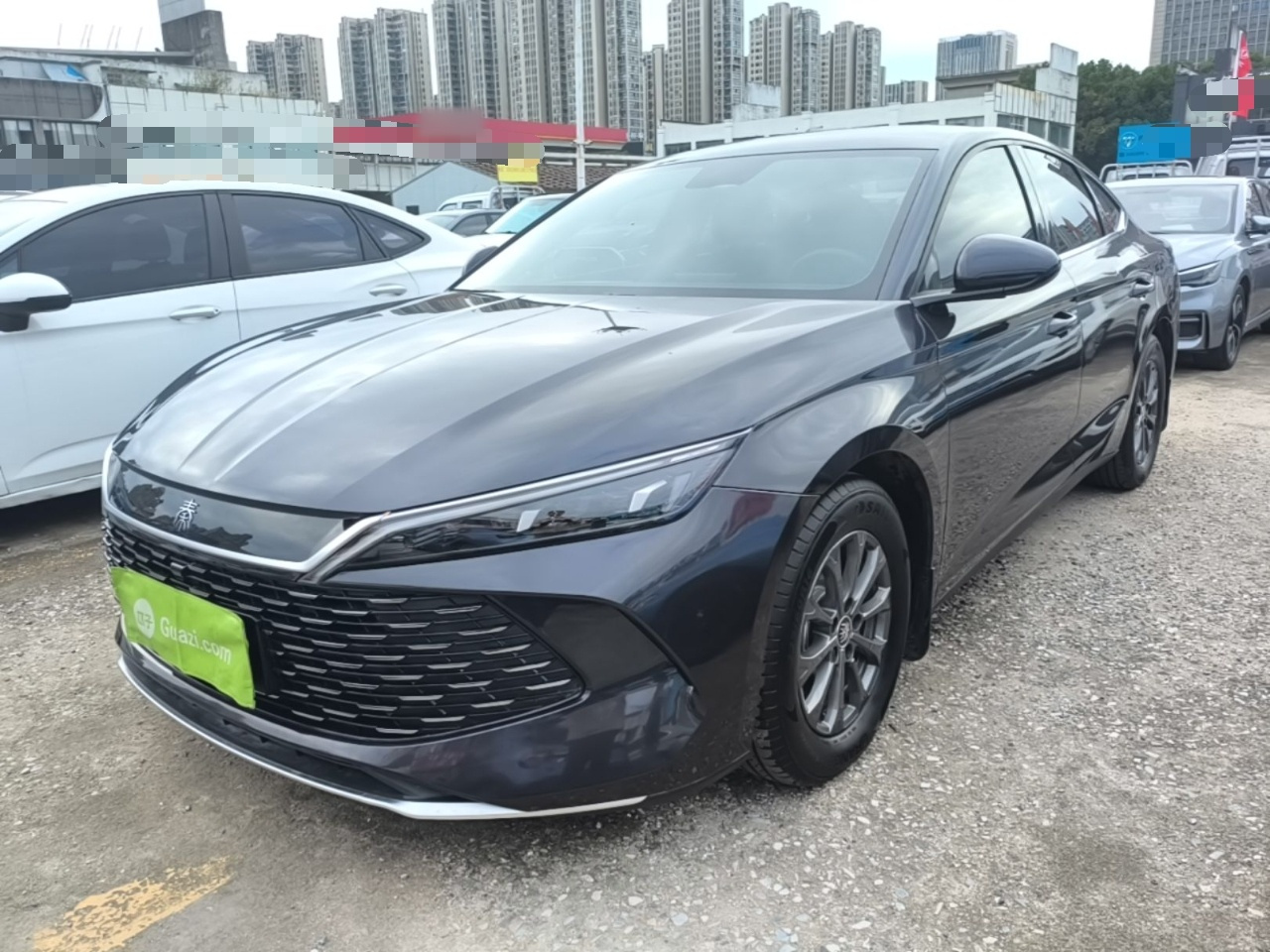 Qin L 2024 DM-i 80KM Leading