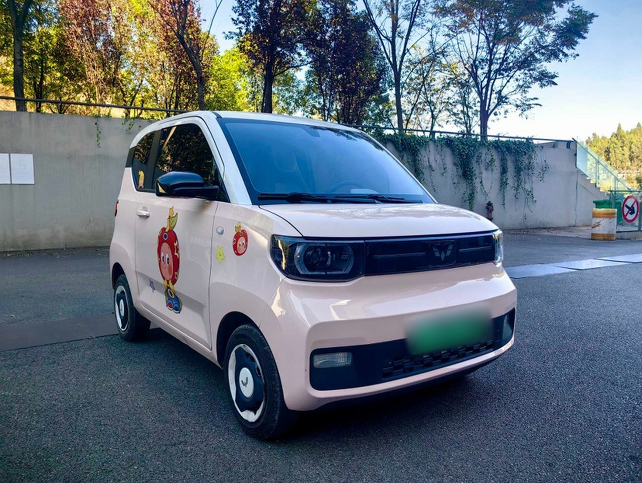 Hongguang MINIEV 2022 Macaron LFP photo 2