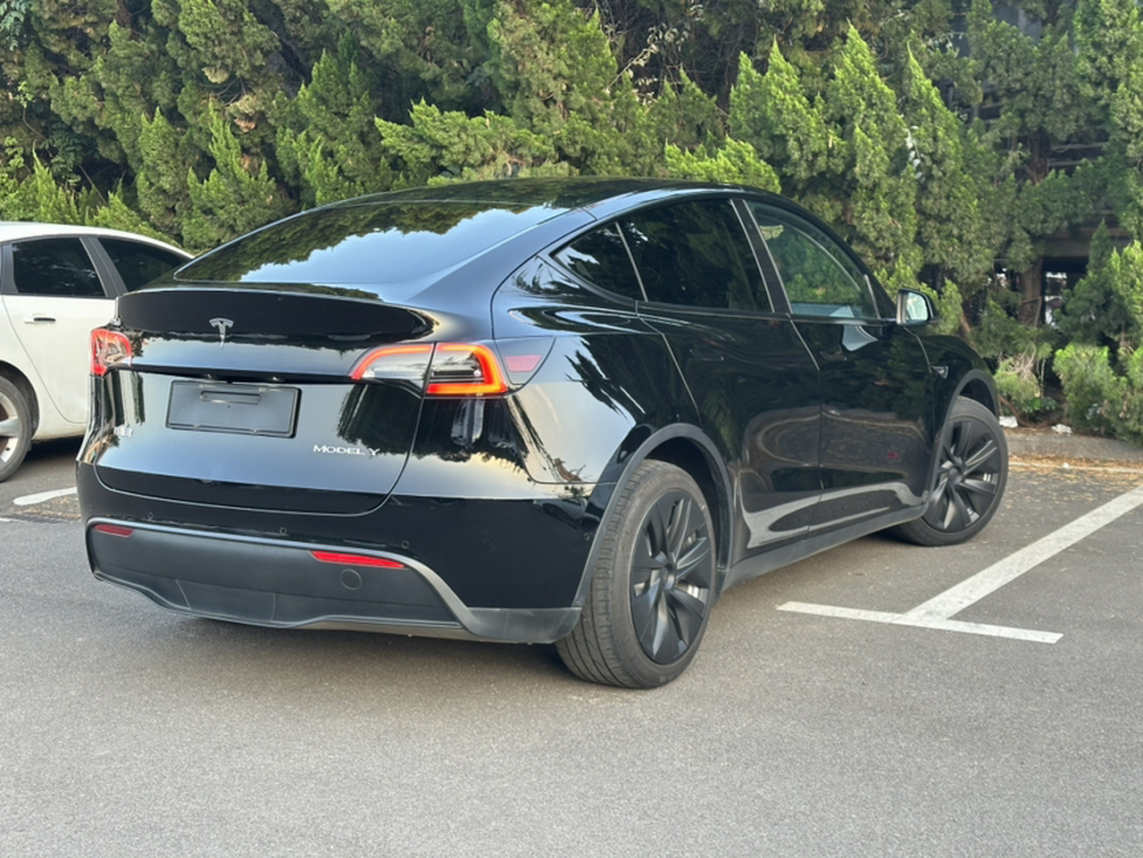 Model Y 2021 Standard Range RWD photo 3