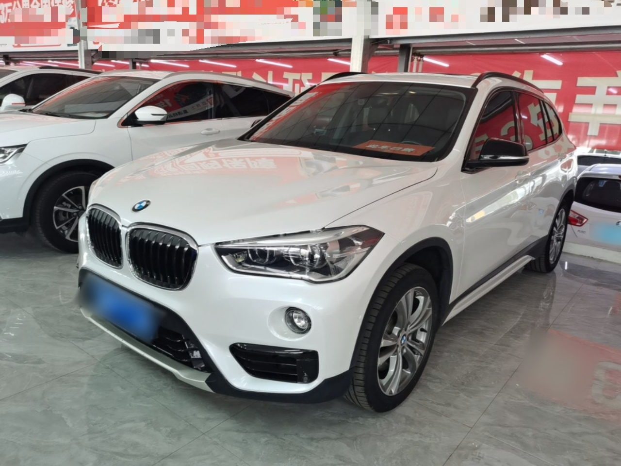 X1 2018 xDrive20Li Luxury