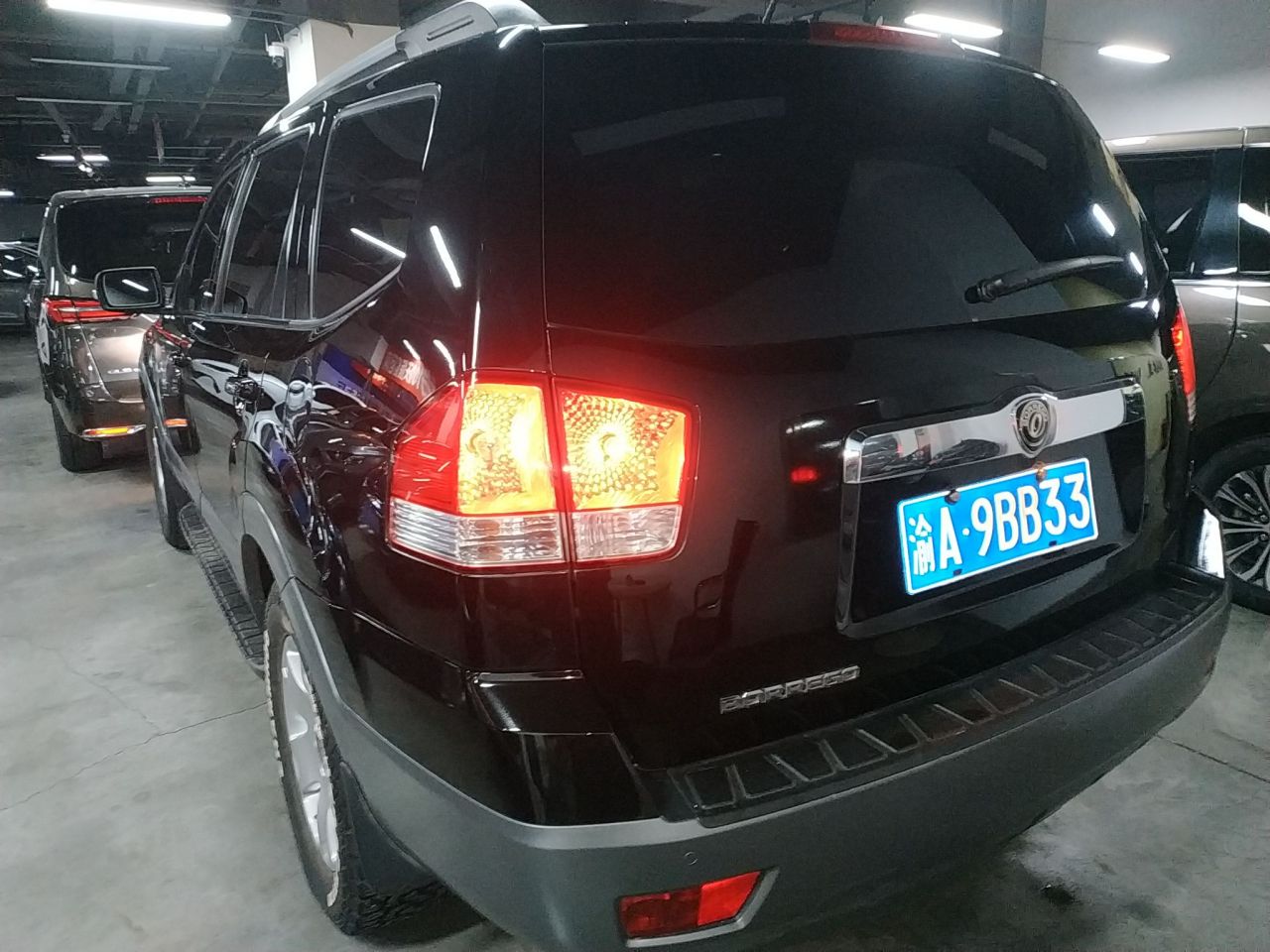 2013 3.8L Luxury China V photo 4