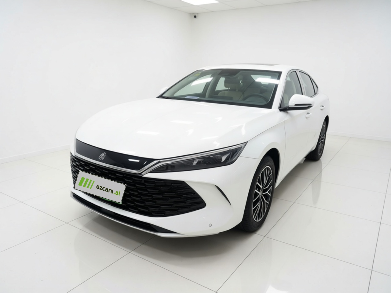 Qin L 2024 DM-i 120KM Excellence