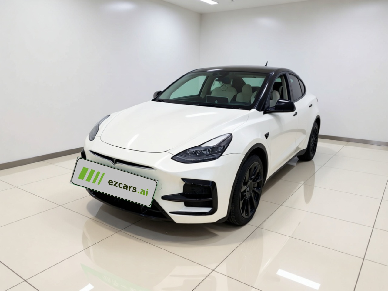 Model Y 2021 Standard Range RWD