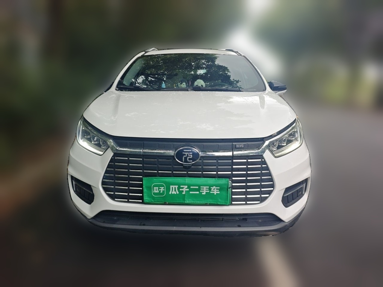 Yuan EV 2019 EV535 Pilot photo 2