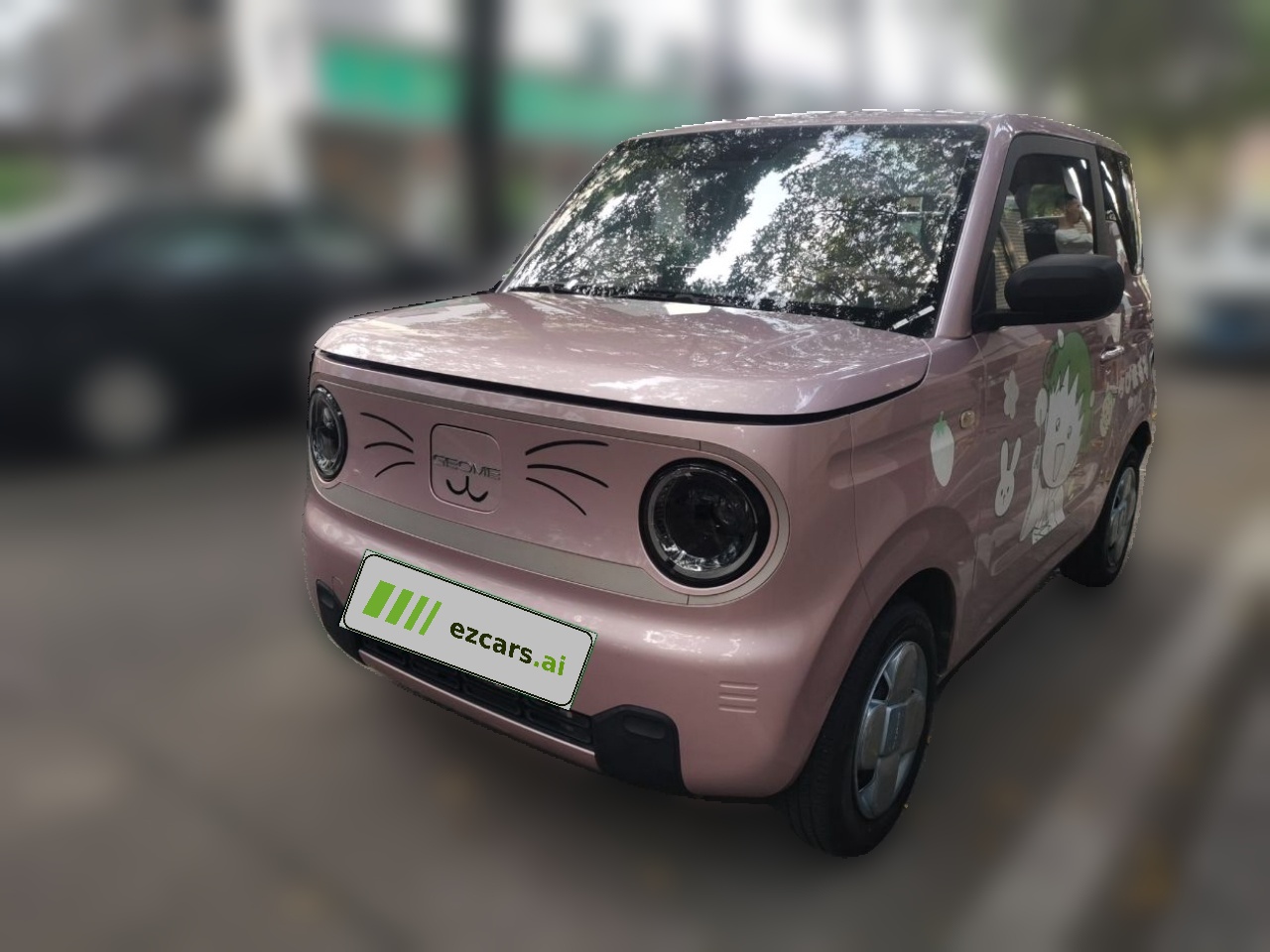 2023 Panda mini 200km Endurance Bear