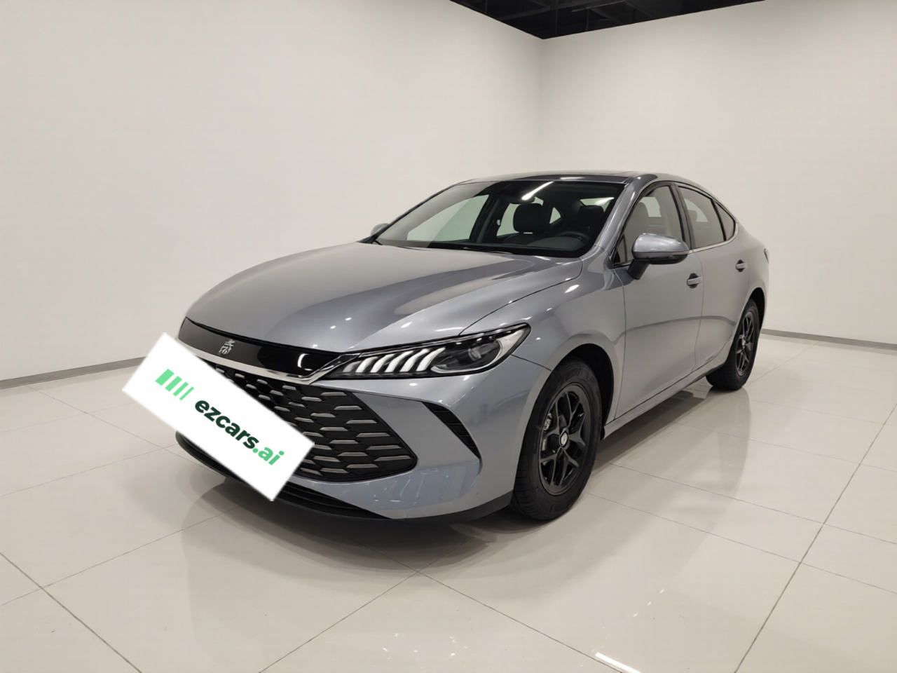 Qin PLUS 2025 DM-i ADAS 55KM Leading