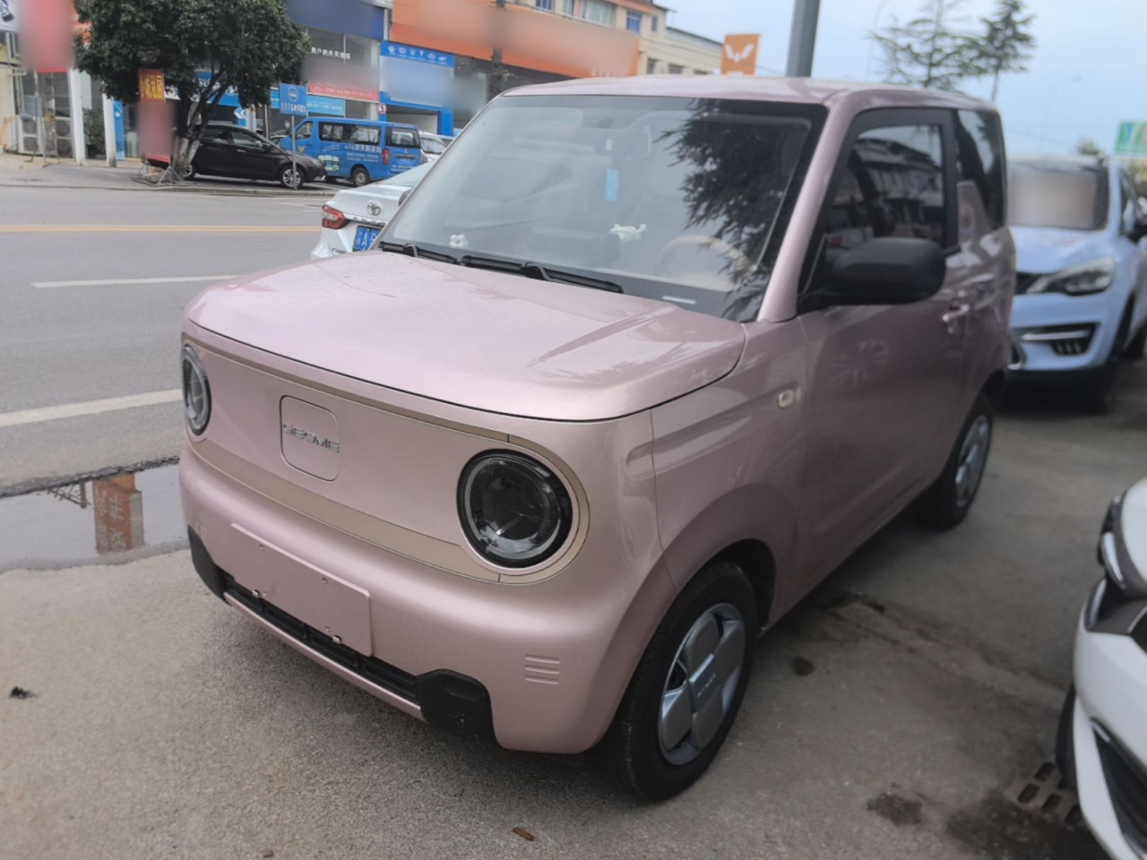 2024 Panda mini 200km Endurance Bear